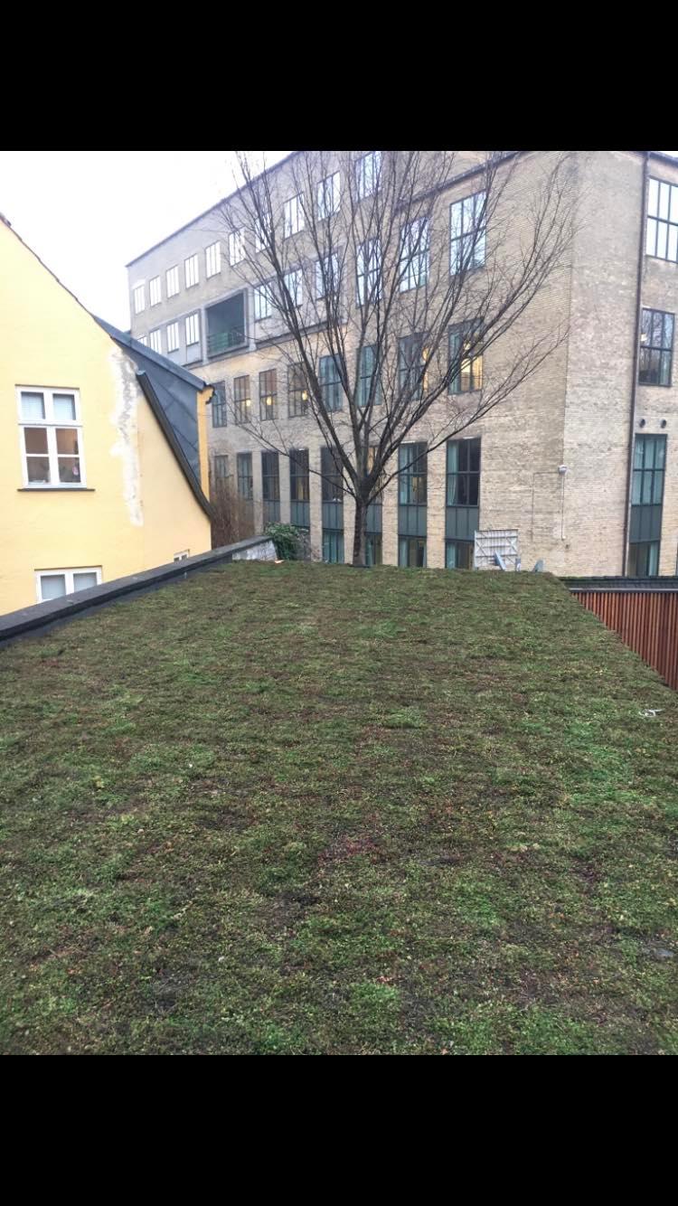 332950348_2373267919486992_6948378899899029974_n